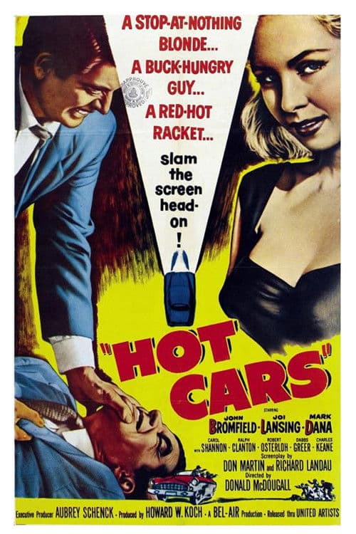 Affiche de Hot Cars
