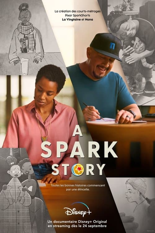Affiche de A Spark Story